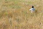 Man sitting in field, rear view