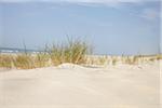 Sand Dunes and Dune Grass, Cap Ferret, Gironde, Aquitaine, France