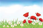 Red poppies on blue sky background