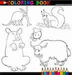 Livre de coloriage ou l'Illustration Page caricature de drôles d'animaux sauvages pour les enfants