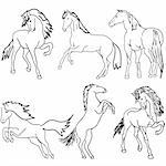 Vector set. Black horse silhouette isolated on white for design.