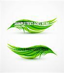 Abstract vector eps10 wave text line