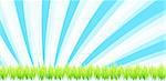 Nature vector background. Fresh green grass