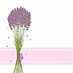 Purple Lavender Flower on Pink Polka Dot Background