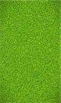 Texture de la belle herbe verte pour terrain de football