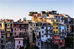 The Medieval Village of Corniglia at Morning, Cinque Terre, Italy