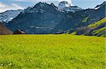 Verts pâturages autour de la maison de ferme en Suisse