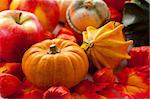 Traditional pumpkins for Halloween in warm colors