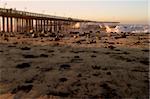 Ocean waves throughout at storm crashing into a wooden pier.