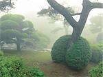 beau parc japonais brumeux en heure d'été