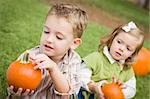 Cute Young Brother and Sister Children Enjoying the Pumpkins at the Pumpkin Patch.