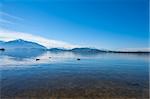 Canards sauvages sur le lac Zuger, Suisse