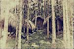 vintage style photo -tribal houses in jungle photo