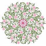 Dark green and pink round vintage floral pattern on white (vector)