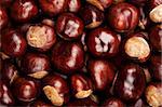 Closeup shot of conkers texture