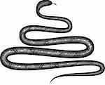Serpent noir et brillant en forme de sapin isolé. Signe du zodiaque chinois de 2013. Vecteur