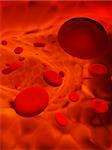 Viele rote Erythrozyten, schwimmt auf einer Arterie