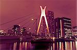 paysage urbain de nuit avec pont suspendu à Tokyo