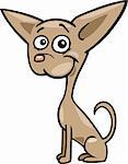 Cartoon Illustration of Funny Purebred Chihuahua Dog