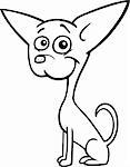 Cartoon Illustration of Funny Purebred Chihuahua Dog for Coloring Book