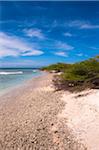 Littoral pittoresque, Arashi Beach, Aruba, petites Antilles, des Caraïbes