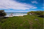 Littoral pittoresque, Arashi Beach, Aruba, petites Antilles, des Caraïbes