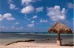 Tiki Sonnenschirm am Strand, Mangel Halto Beach, Aruba, kleine Antillen, Karibik