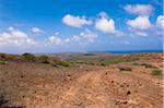 Feldweg im zerklüfteten Gelände, Arikok Nationalpark, Aruba, kleine Antillen, Karibik