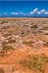 Paysage aride, le Parc National Arikok, Aruba, petites Antilles, des Caraïbes