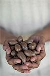 Close up of hands holding nuts