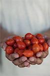 Gros plan des mains tenant des tomates