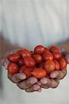 Close up of hands holding tomatoes