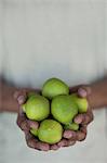 Close up of hands holding limes