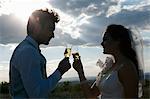 Newlywed couple having champagne