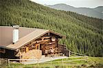 Cabane en bois rond sur la colline herbeuse