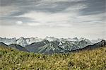 Snowy mountains and grassy fields