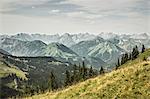 Schneebedeckte Berge und grasbewachsenen Hügel