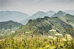 Schneebedeckte Berge und grünen Felder