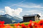 Log cabin in rural landscape