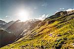 Sun rising over grassy rural hillside