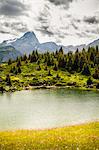 Lake in grassy rural landscape