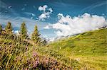 Clouds over grassy rural hillsides