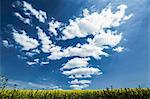 Clouds over grassy rural landscape