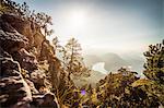 Plants growing on rocky rural hillside