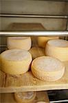 Wheels of cheese aging in shop