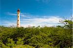 California Lighthouse and Dense Tree Tops, near Arashi Beach, Aruba, Lesser Antilles, Dutch Antilles