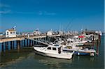 Boats in Harbour, Provincetown, Cape Cod, Massachusetts, USA