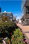 City Square with Flower Beds, Halifax, Nova Scotia, Canada