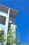 Green leaves and building against blue sky