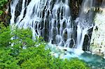 Shirahige chute d'eau et de feuilles vertes à Biei, Hokkaido